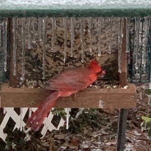 Meet your Posher, Larry